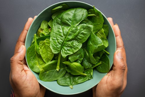 Can Dogs Eat Spinach? Here'S What Our Pet Health Experts Know | Kabo