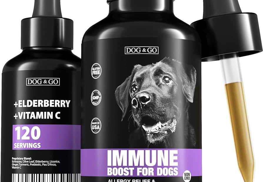Amazon.Com : Dog Immune Booster - Allergy Immunity Vitamins - Liquid  Multivitamin For Dogs: Elderberry, Turmeric, Prebiotic, Vitamin C - Made In  Usa - Immune System Support Drops For Puppy And Pets (1 Pack) : Pet Supplies