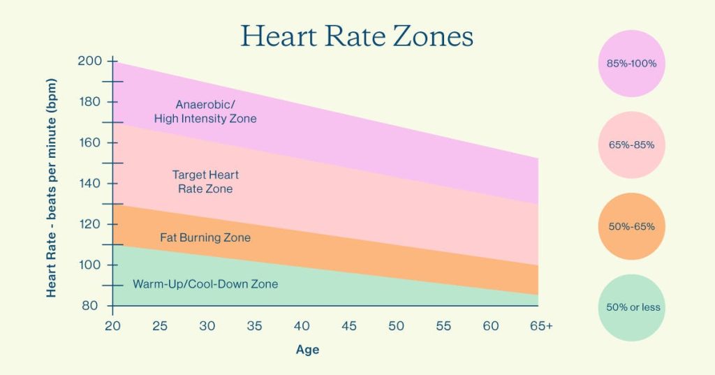 Why Is It Important To Keep Your Heart Rate In Your Target Zone For A ...