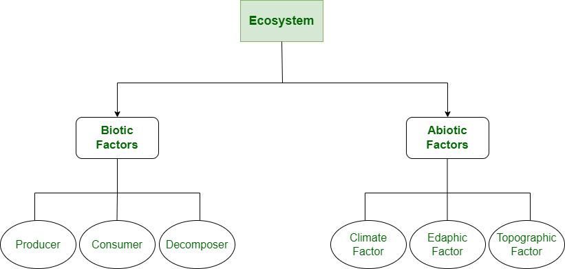 Components Of Ecosystem- Biotic And Abiotic