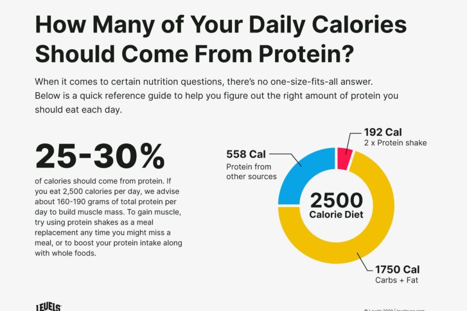 How Many Protein Shakes A Day: The Definitive Guide - Levels