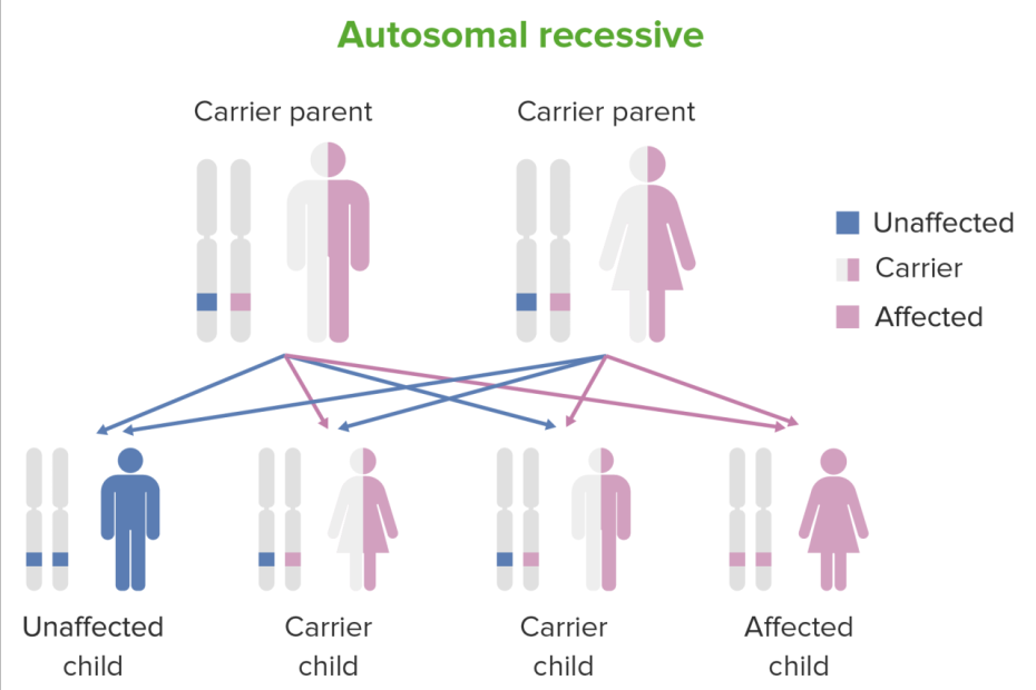 is-pws-dominant-or-recessive-unraveling-the-genetic-mystery