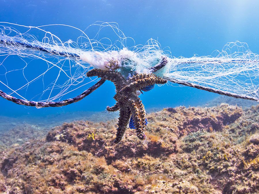 Talking Ocean Trash: Ghost Gear Keeps On Fishing | Britannica