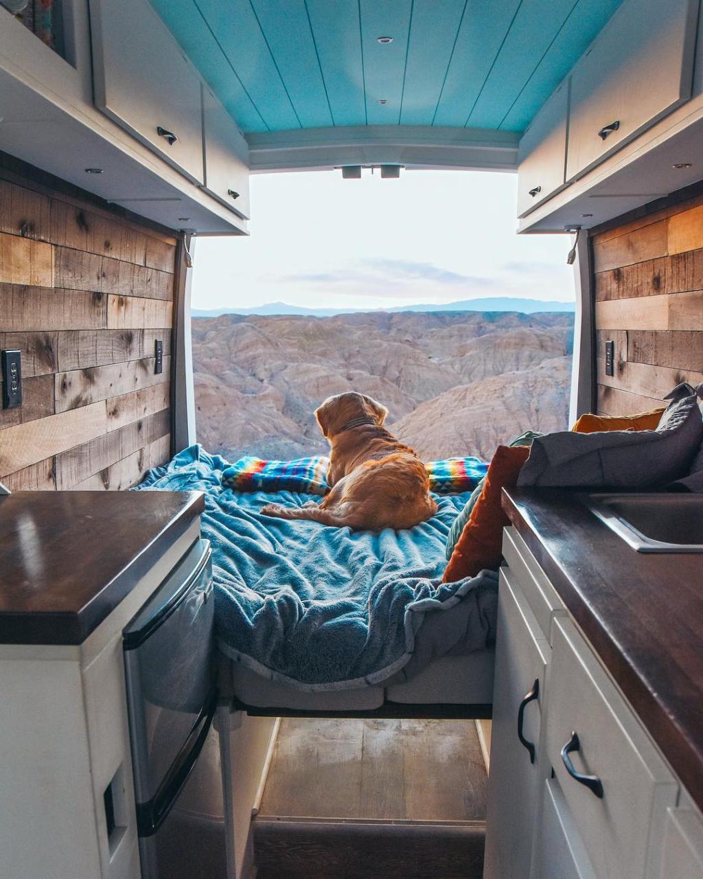 How To Vanlife With A Dog Longterm In 2023