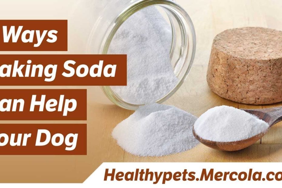 How To Use Baking Soda For Your Dog - Youtube