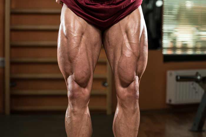 I Want To Develop That Teardrop Shaped Muscle On Top Of My Knee. Is There A  Specific Method To Building This Muscle? - Ast Sports Science
