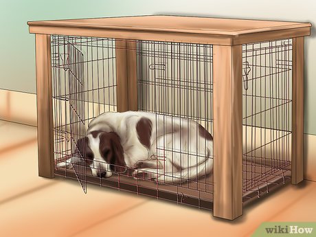 How To Get Your Dog To Sleep: 8 Steps (With Pictures) - Wikihow